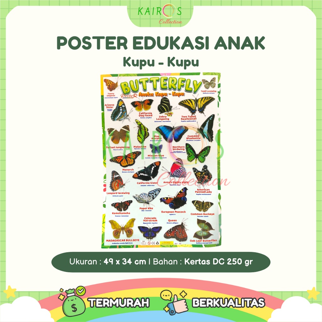 Poster Belajar Anak Aneka Kupu - Kupu