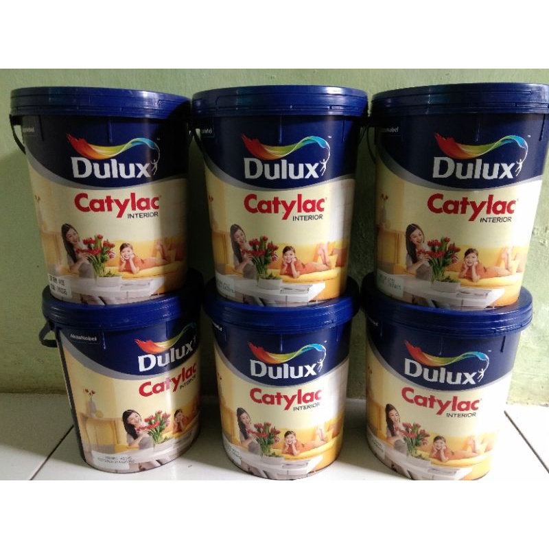 Cat Dulux Catylac 5 Kg