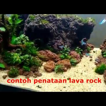 BATU LAVA ROCK ROUGH LAVAROCK 1 kg 1kg  Hiasan Aquarium Aquascape