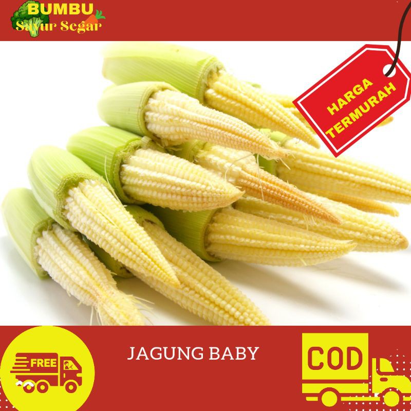 

JAGUNG PUTREN 250gr