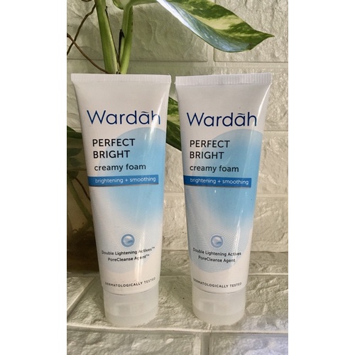 Wardah Facial Foam 100ml/Pencuci Muka Wardah Murah/Foaming Cleanser Wardah/Creamy Foam Wardah