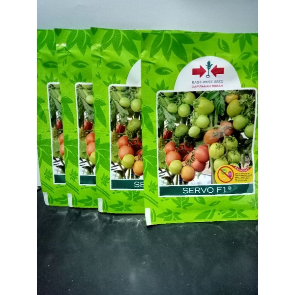 Benih Tomat Servo