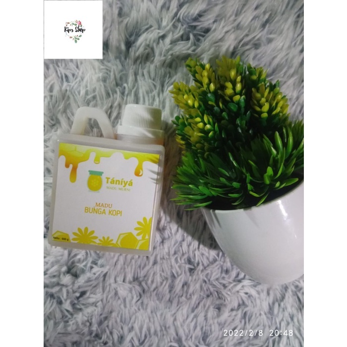 

Madu Murni Taniya Asli Nektar Bunga Kopi - 500gr