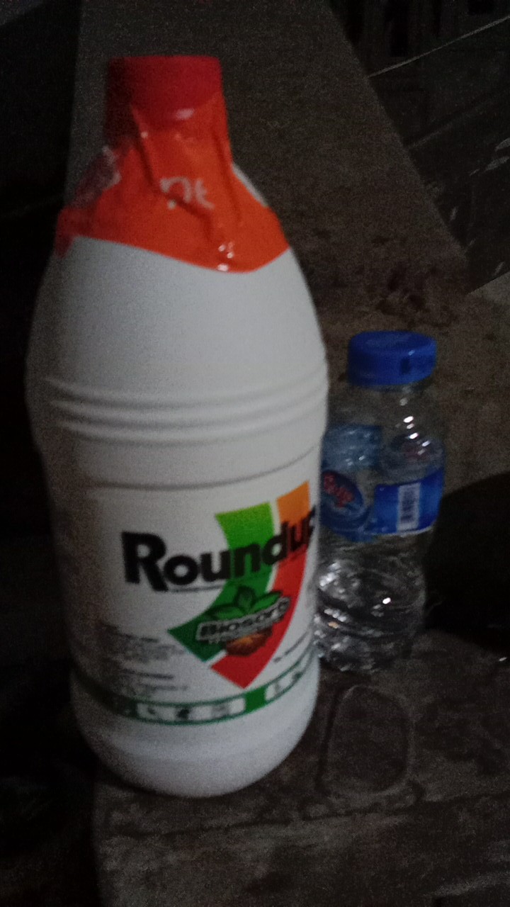 Rondup/ Obat Pembasmi Rumput/ 1 Liter