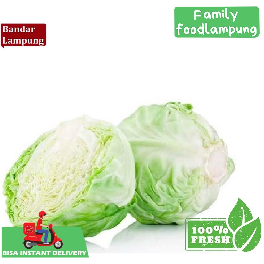 

Kol Putih Kubis Sayuran Segar 1 kg Family Food Lampung