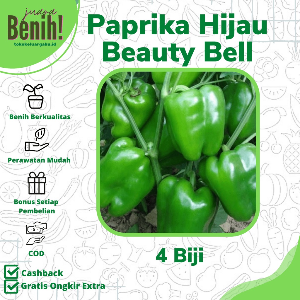 Jual 4 Benih Bibit Paprika Hijau Beauty Bell F1 Hibrida Super Sweet Pepper Bell Known You Seed