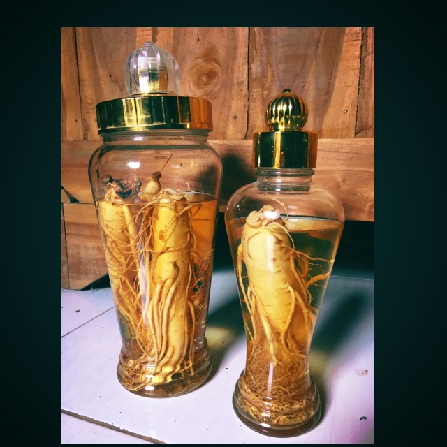 

Gingseng asli Korea