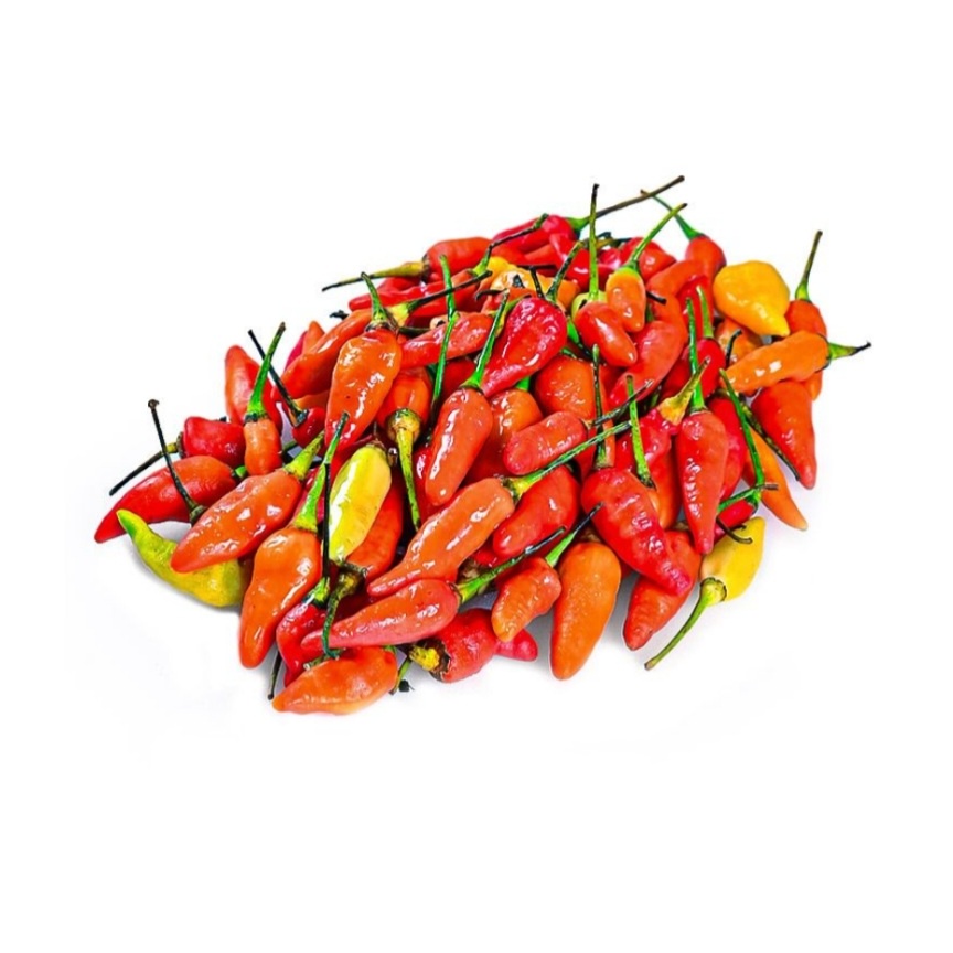 

SG - cabe rawit merah segar 100gr