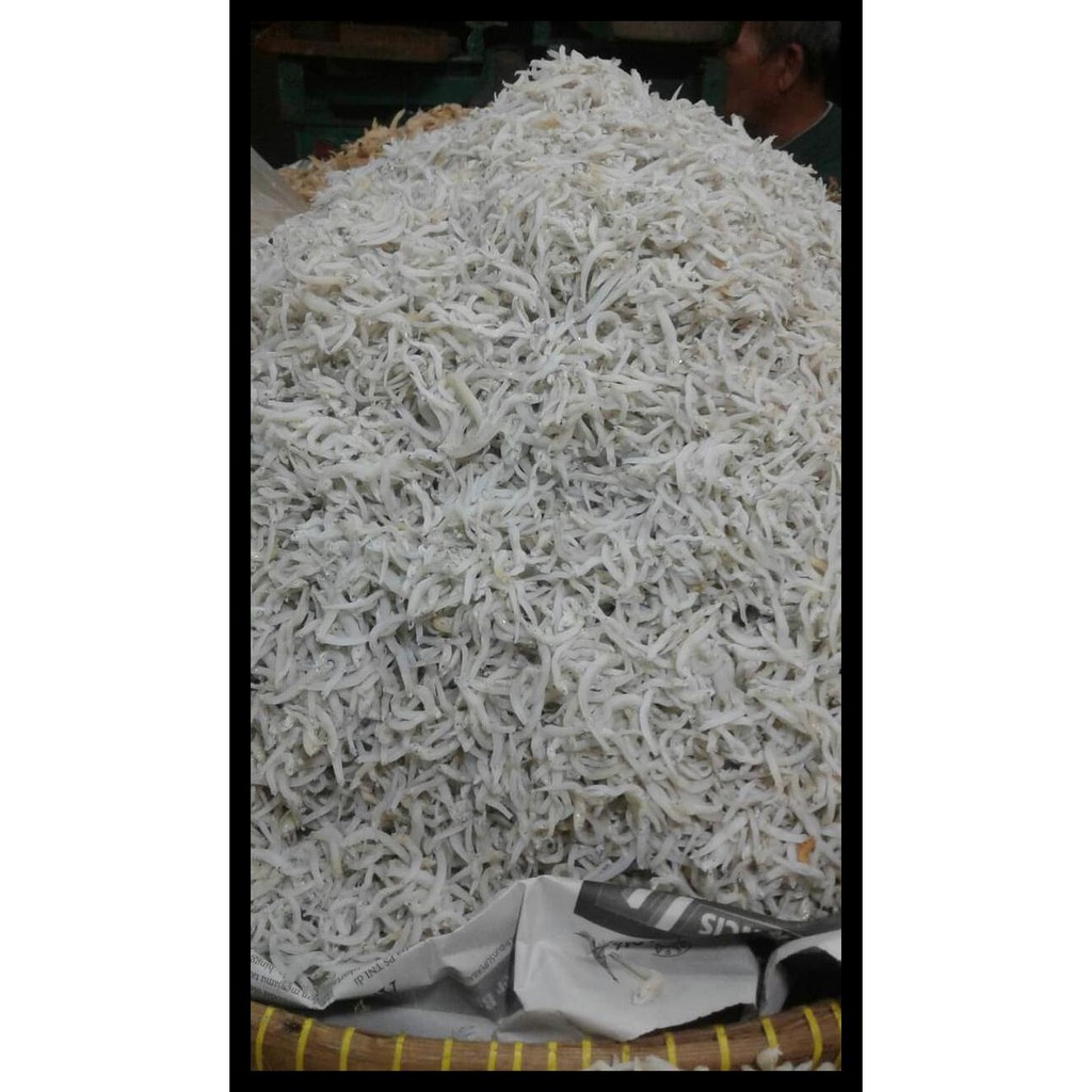 

Keren Ikan Teri Medan Hot List