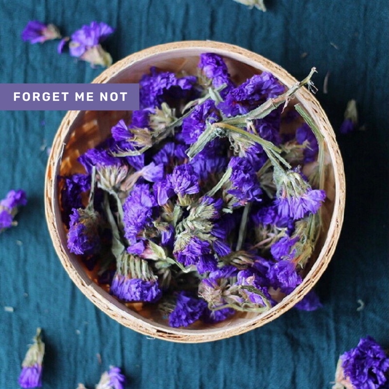 Organic&amp;Joy• Teh Bunga Forget Me Not Flower Tea (myiosotis sylvatica,Percantik kulit,tisane,teh bunga