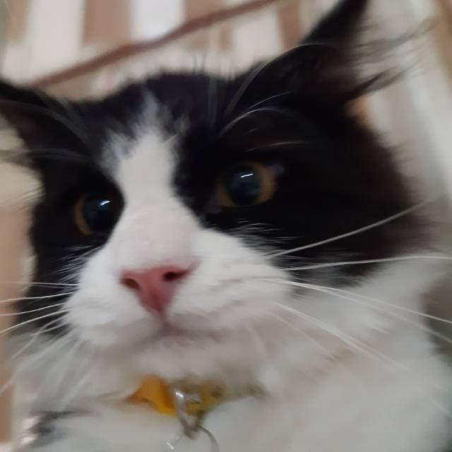 magdalena_johansen23