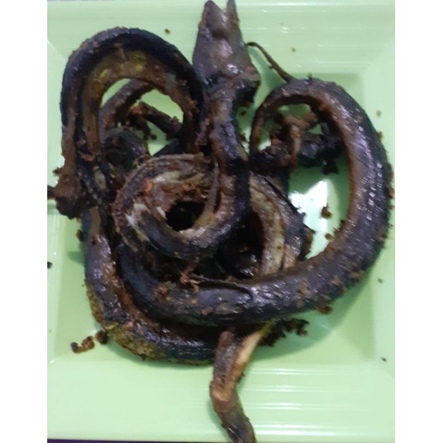 

keripik belut