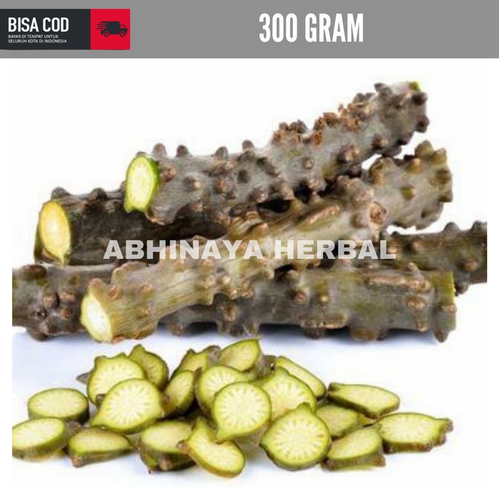 

Akar Batrawali - Batang Botrowali Patrawali - Akar ali-ali 300 gram