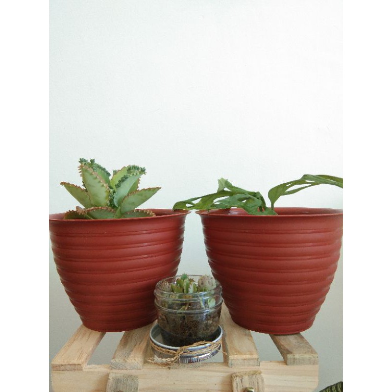 Pot Plastik Nanas Orange No. 20