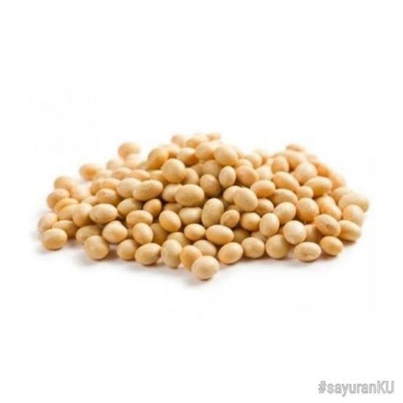 

[SAYUR EMAK] KUALITAS SUPER!!! KACANG KEDELAI 250 GRAM / BAHAN PELENGKAP