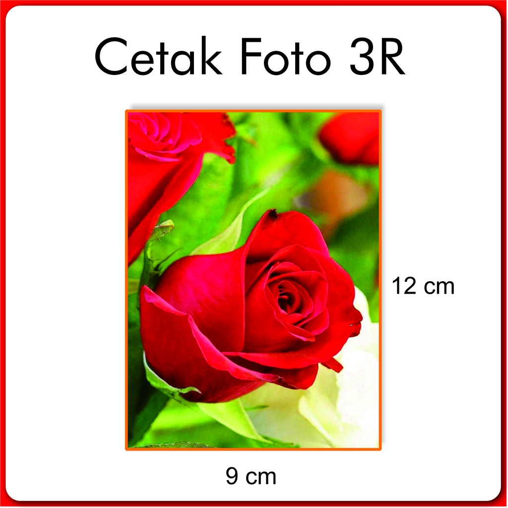 Cetak Foto 3 R