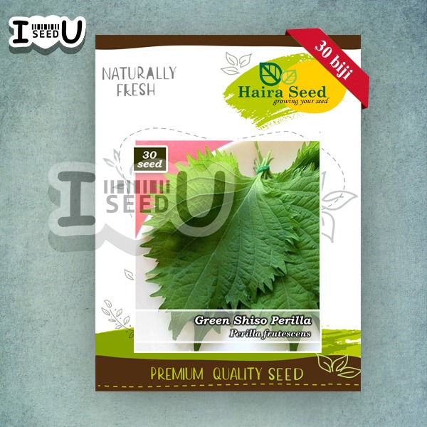 Haira Seed BIbit-Biji Shiso Perilla Green