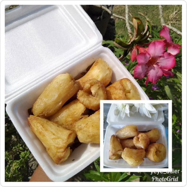 

Ketela merana