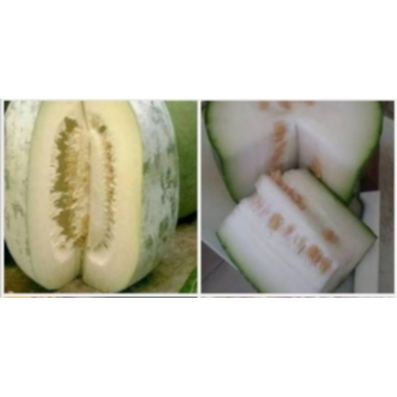 

Labu Kundur / sd 800gr