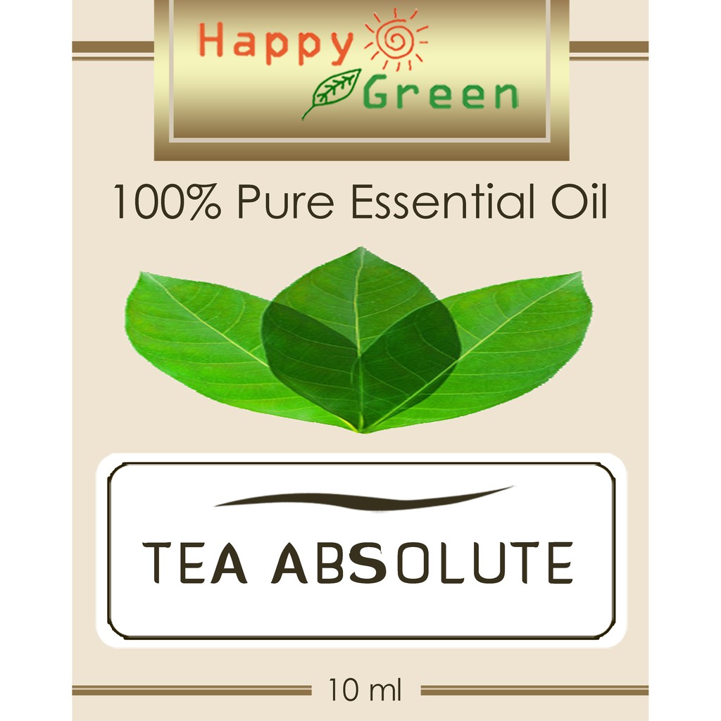 Happy Green Tea Absolute (10ml) - Minyak Absolute Teh