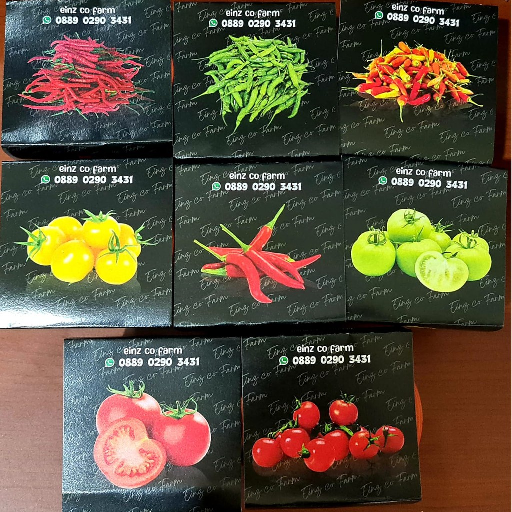 PAKET BERKEBUN benih bibit TANAMAN SAYUR SAYURAN  BONUS POT media tanam BY EINZ CO FARM