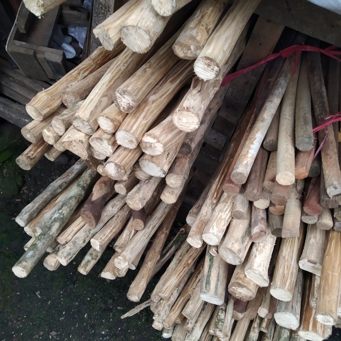 Tangkringan Kayu Kopi / Tangkringan Macaw