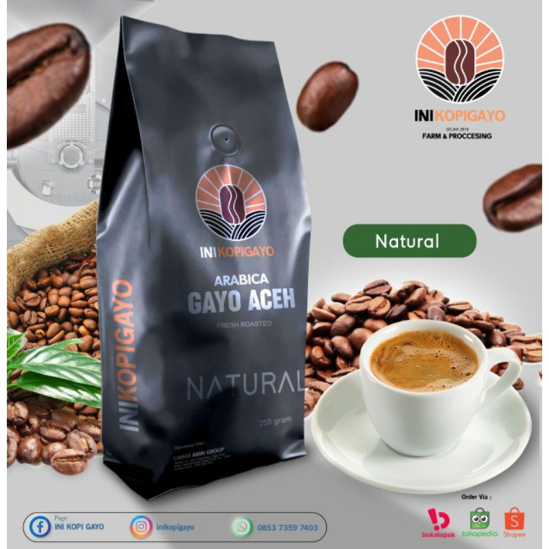 

Kopi Arabika Gayo Natural Fresh Roasted 250 gram