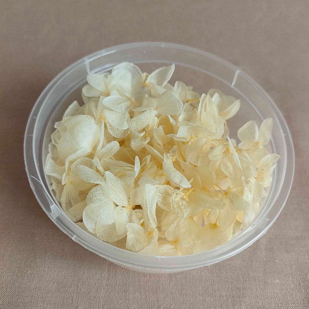 (2gr) Preserved Hydrangea Dried Awetan Bunga Kering Preserved Flower Dried Flower Bunga kering Aesthetic mini dekorasi
