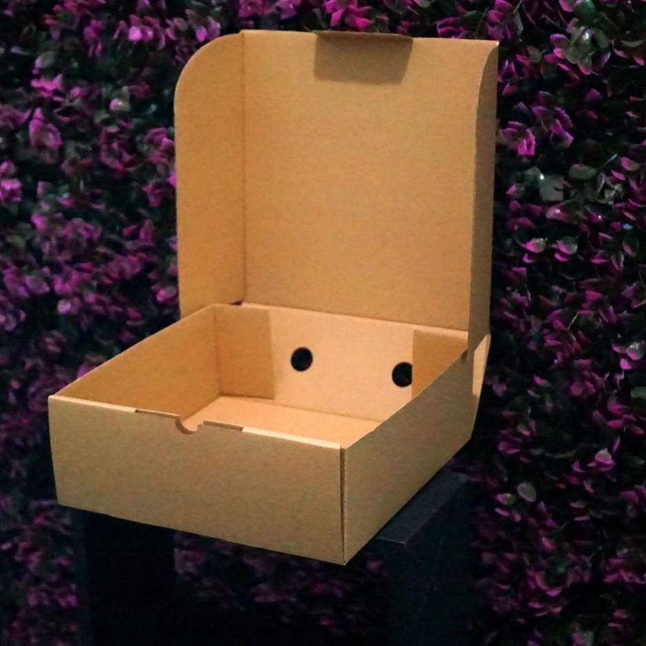

DFY♘ Kotak Packaging Polos Tinggi 25 x 25 x 12 cm - Pizza Box - Bentuk Kotak Barang Baru