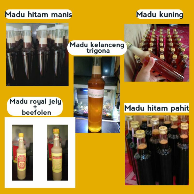 

madu hutan