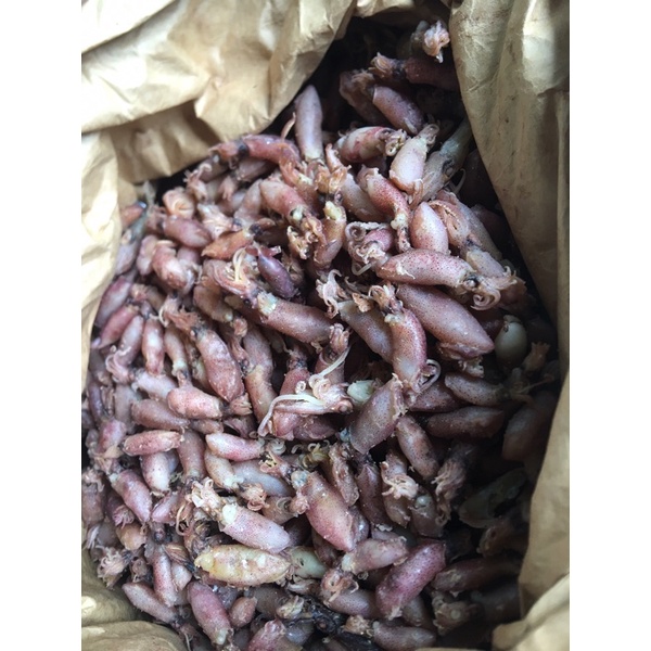 

CUMI TAWAR KUALITAS TERBAIK