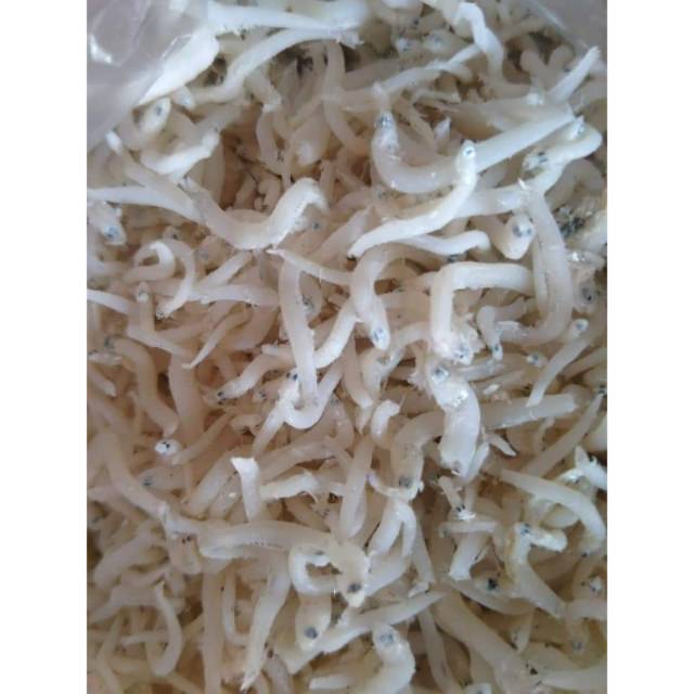 

Teri Medan