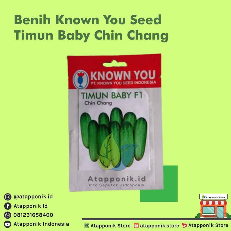 benih bibit timun baby chin chang