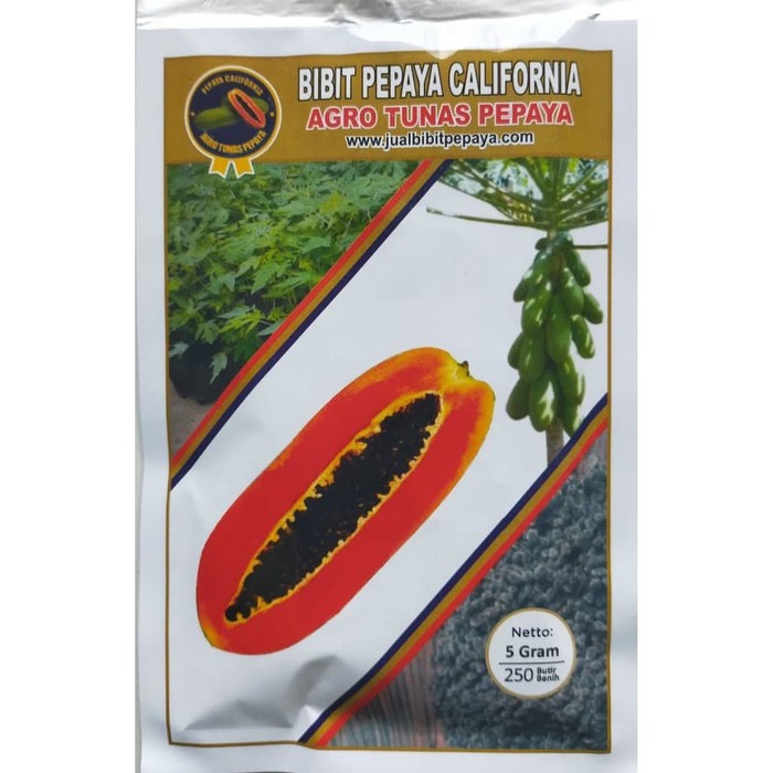 ISI 250BIJI BENIH/BIBIT PEPAYA CALIFORNIA TUNAS AGRO