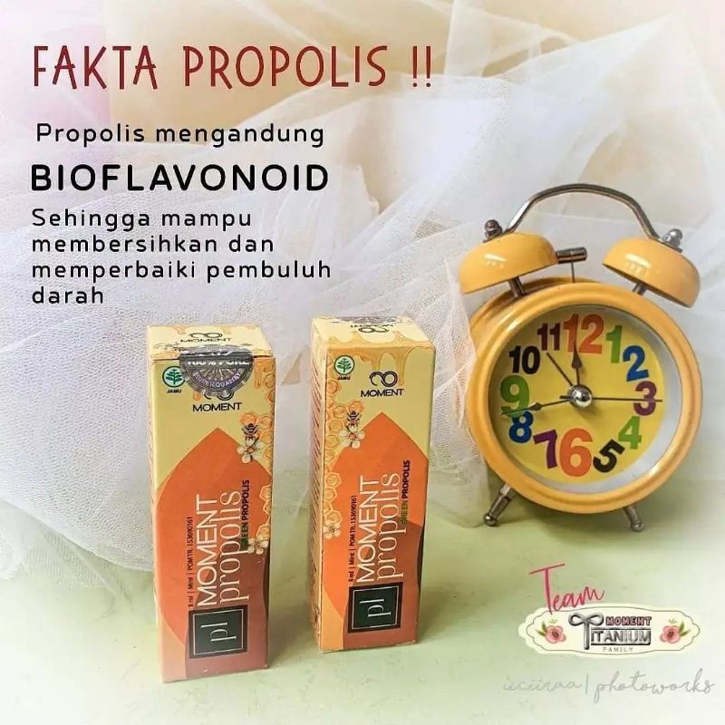 JUAL PROPOLIS MOMENT ORIGINAL