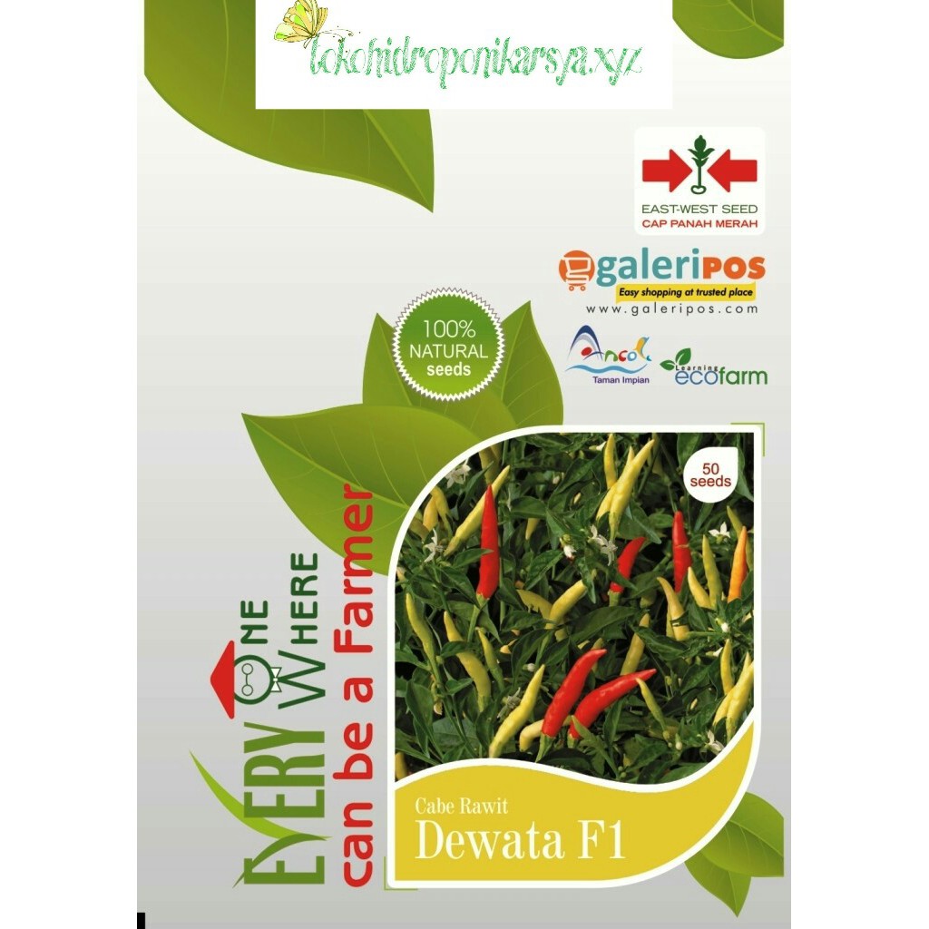 Benih/Bibit/Cabe rawit/Dewata