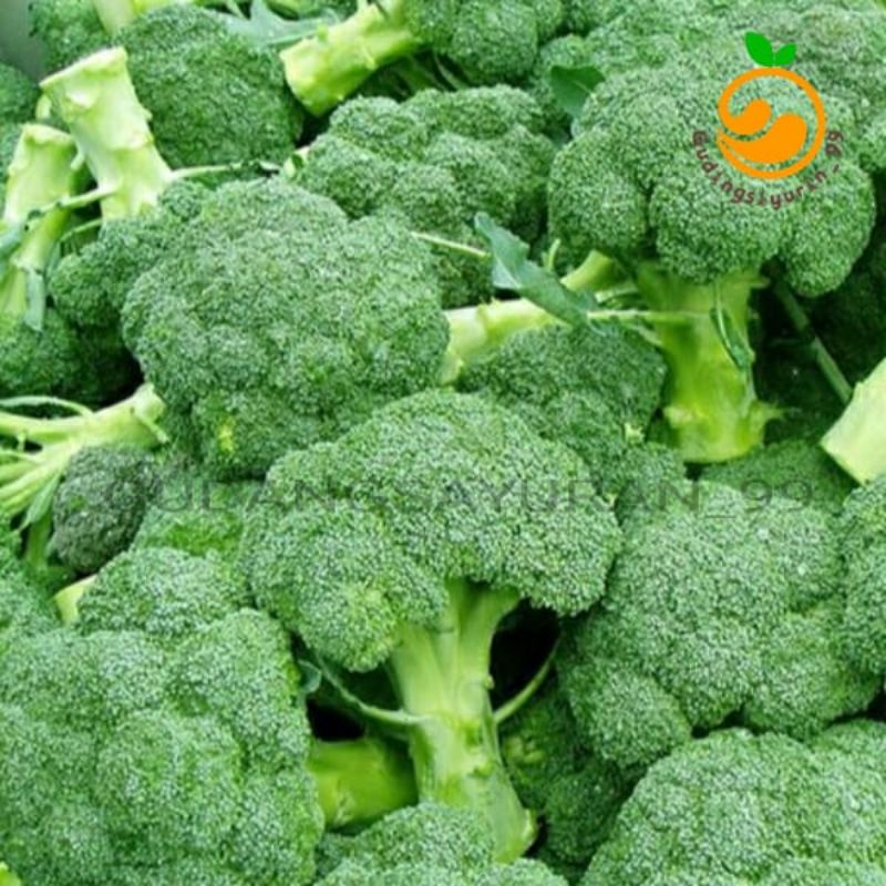 

Brocoli batang panjang 500 gram