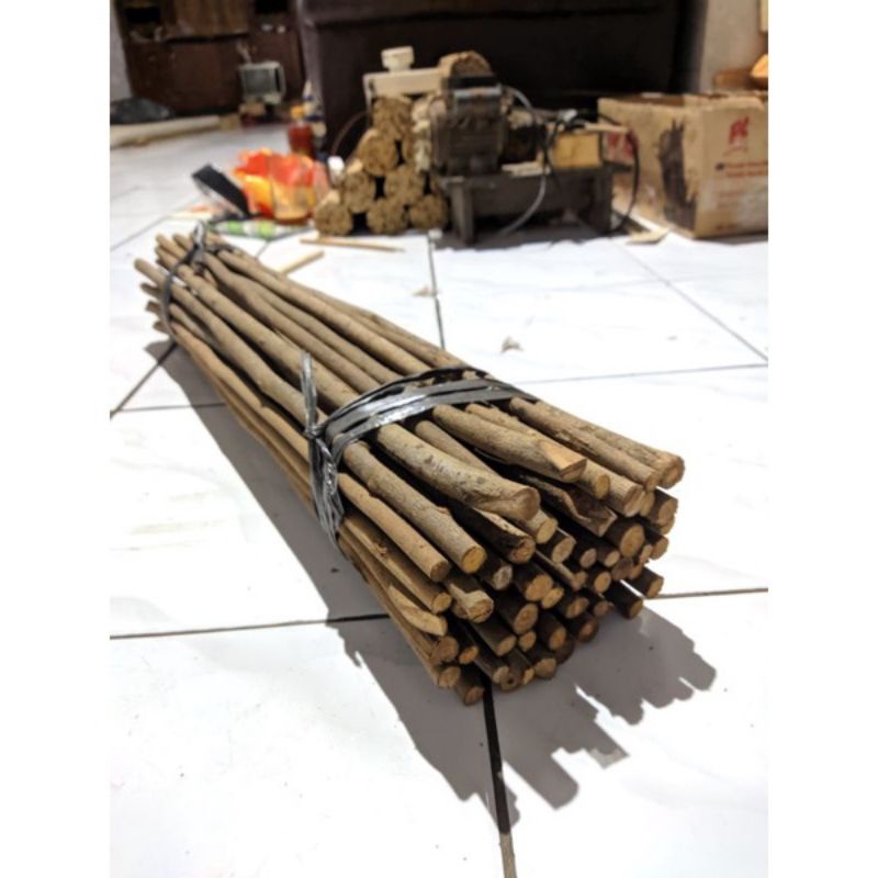 Tangkringan burung murai kayu asem Bali halus