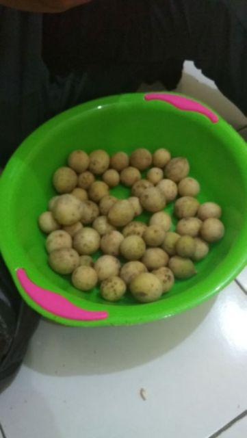 Gamis Batik Hap Ld Hana Katun Busui