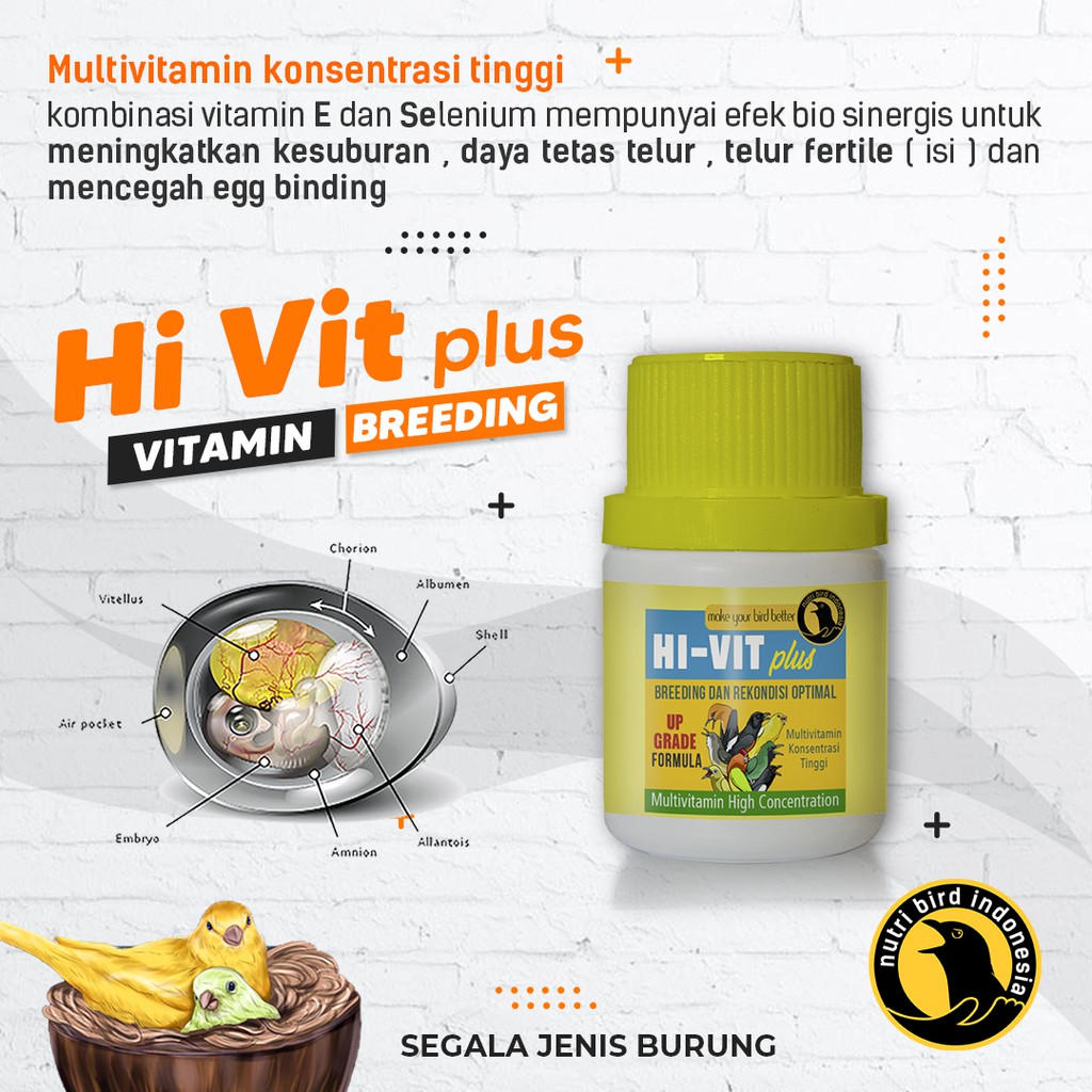 HI VIT PLUS  Multivitamin Konsentrasi Tinggi untuk breeding dan rekondisi burung secara optimal