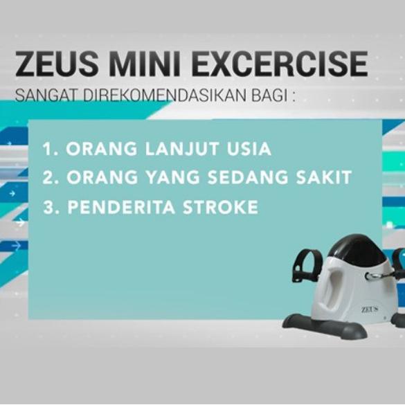 Zeus Mini Exercise Bike Static Sepeda Terapi Statis Zeus Sport Therapy