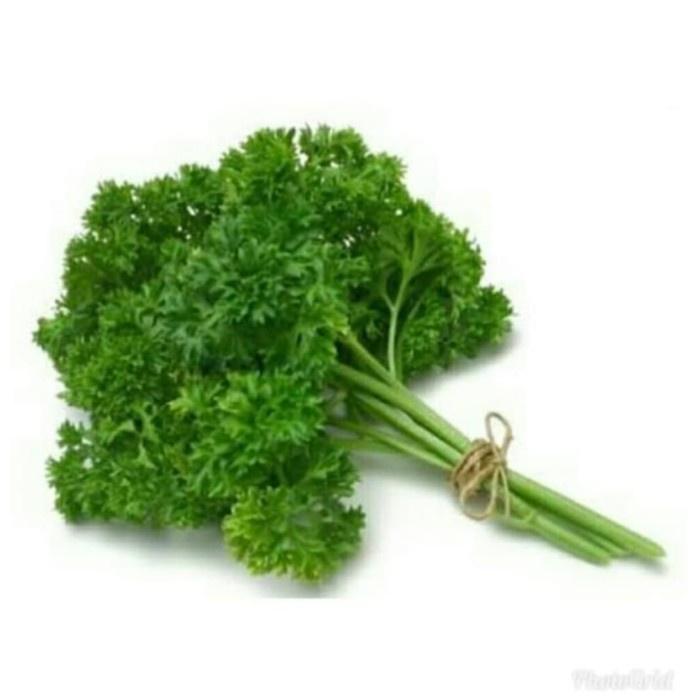 

DAUN PETERSELI / PARSLEY FRESH (pack 100g)