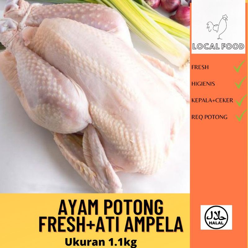 

AYAM POTONG UTUH SEGAR DENGAN ATI AMPELA DAN KEPALA