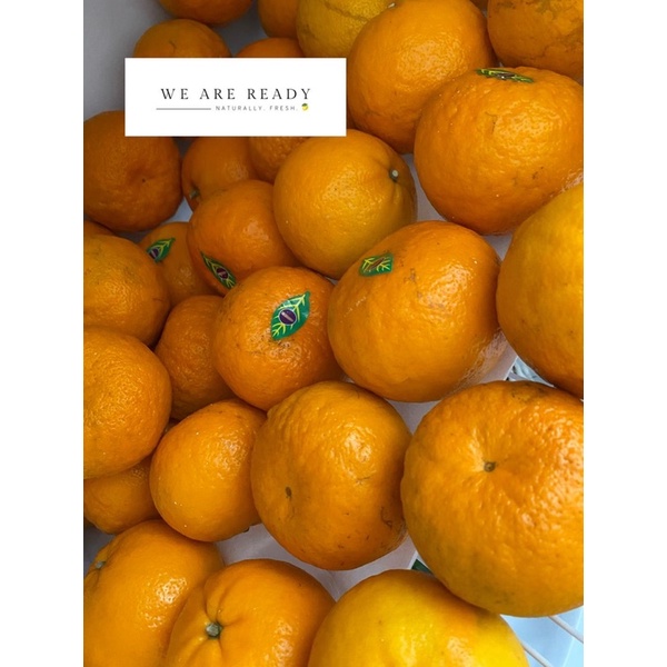 

Jeruk Wokam import 1000 gram