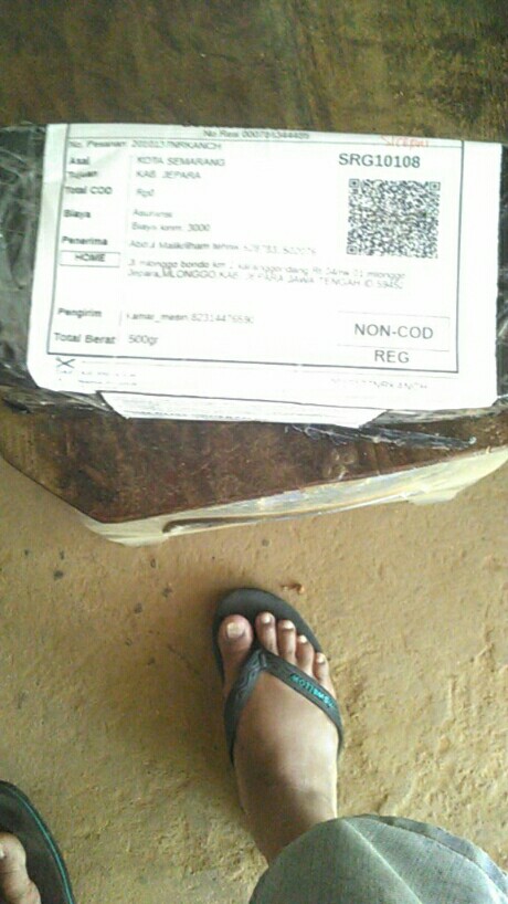 Armature Trimer N3701 Angker Trimer N3701 Armature Profil N3701 Ossel