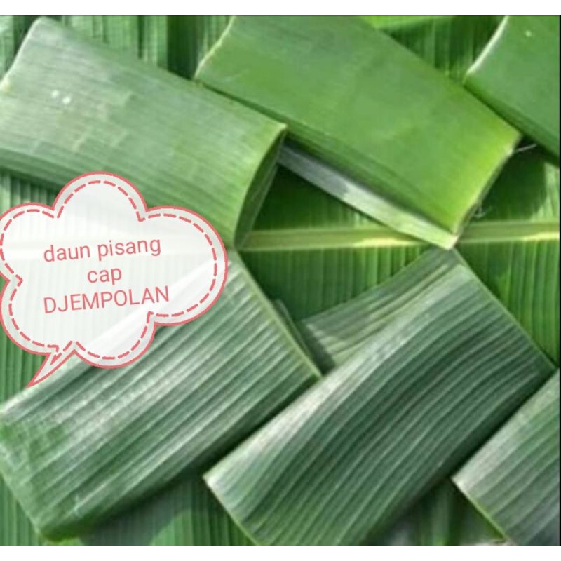 

daun pisang segar petik kebun untuk bungkus nasi jajan kue makanan snack pembungkus alas lembaran lembar godong gedang banana leaf seger fresh