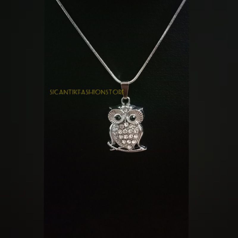 Kalung Titanium liontin burung hantu silver Fashion pria wanita terlaris anti Karat tidak luntur