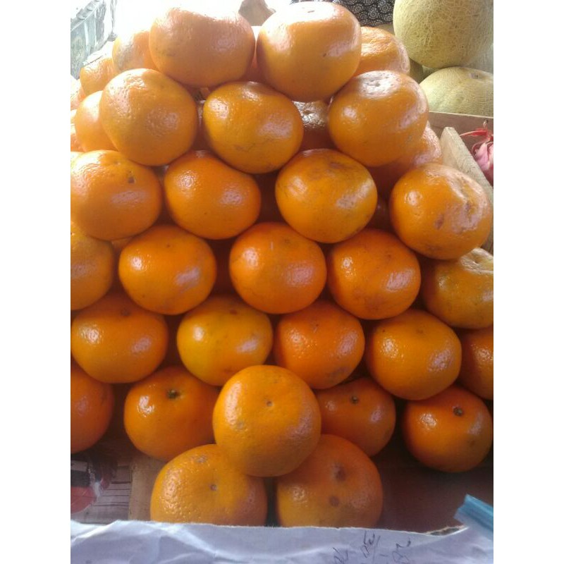 

Jeruk Mandarin kinoy segar