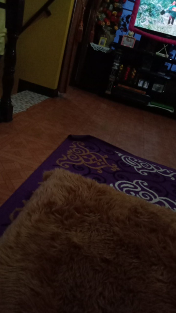 Kantong Keresek Plastik Tristar 24 Hitam Putih Merah 24x44cm High Quality