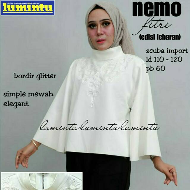 

Nemo Fitri